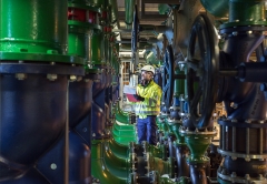 Italia -  Nogara Plant